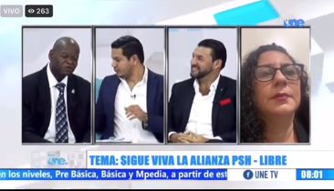 «La alianza nos afectó», Tomás Ramírez, Partido Salvador de Honduras