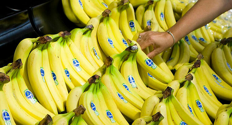 Aumentan exportaciones de frutas y verduras hondureñas hacia EEUU