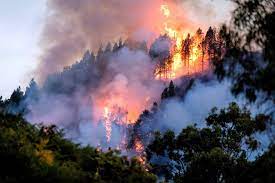 Listas brigadas para combatir incendios forestales en la temporada de mayor ocurrencia
