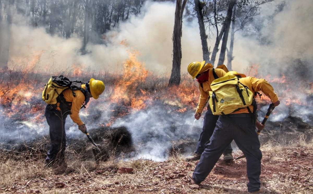 Detenidas cuatro personas acusadas de provocar incendios forestales