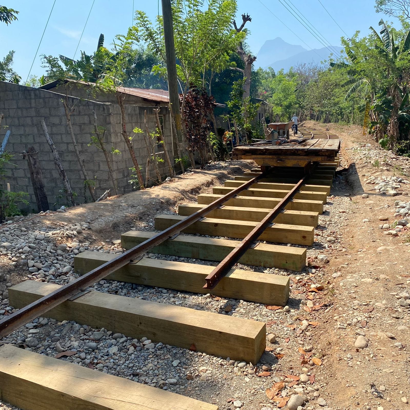 Avanza la reactivación de la línea férrea en La Ceiba
