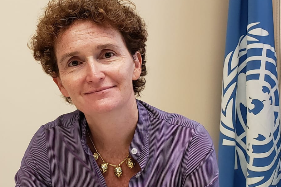 Representante de la ONU en Honduras respalda ley de justicia tributaria para combatir desigualdades y pobreza