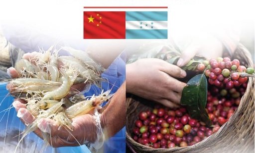 Apertura de nuevos mercados empresas hondureñas de café y camarón certificadas para exportar a China