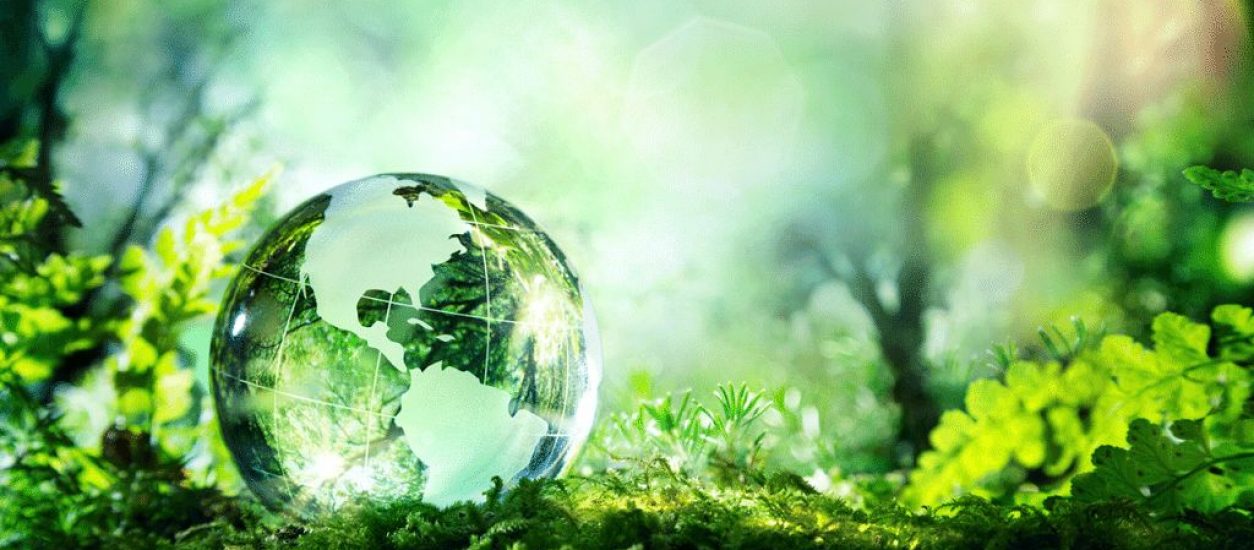 Día Mundial del Medio Ambiente Un llamado a la acción por nuestro planeta