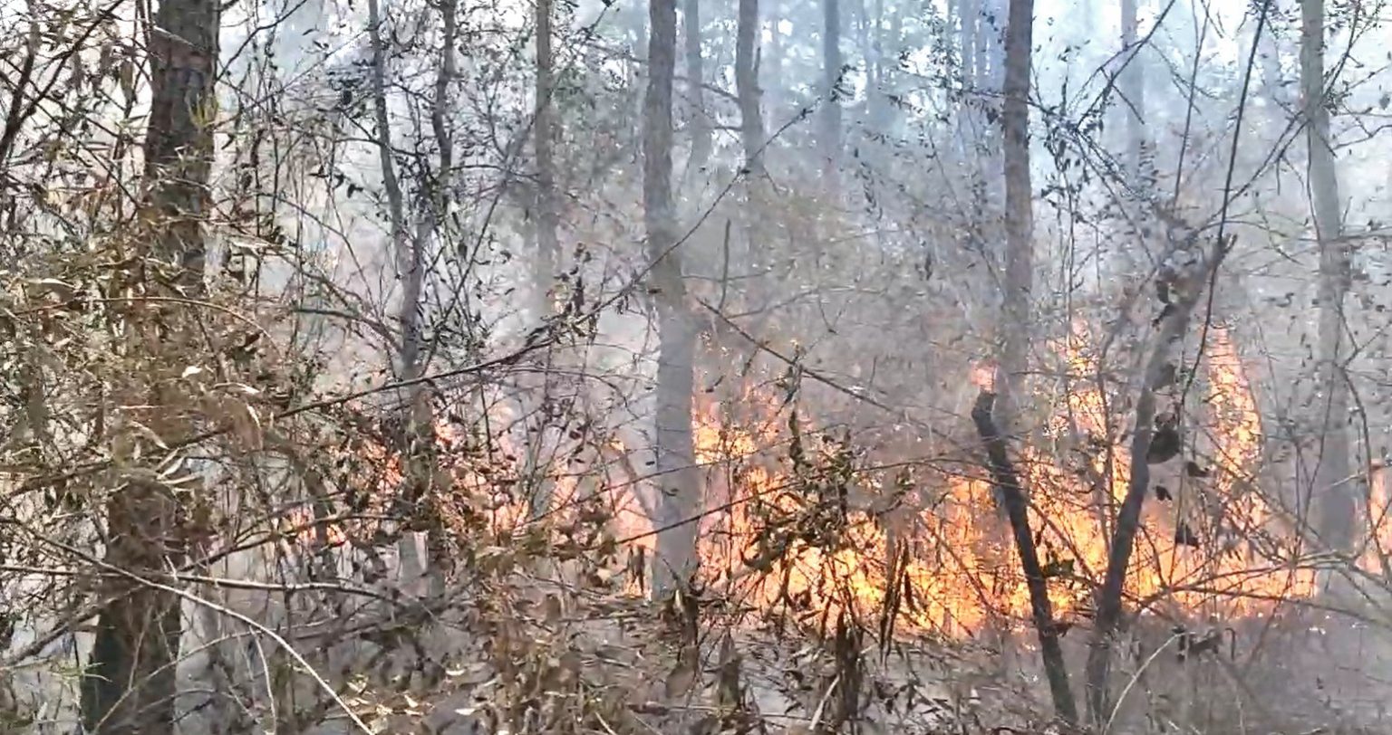 Más incendios a nivel nacional, arde la reserva natural EL ORÉGANO, en Copán
