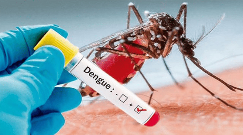 SPS alerta por dengue